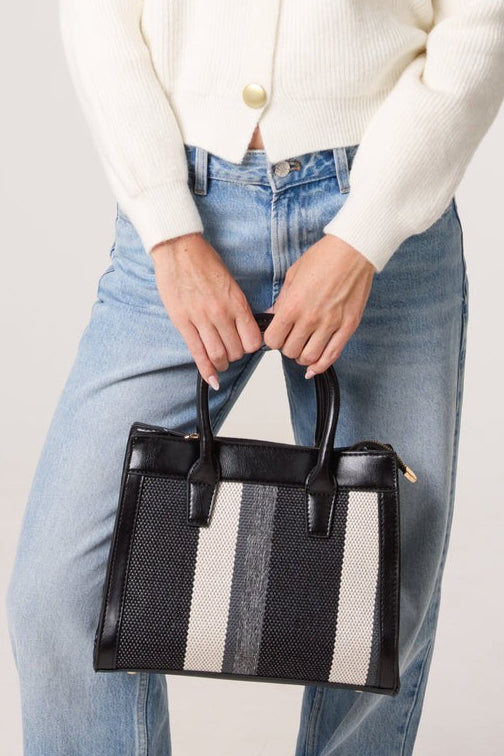 Person holding a black and white striped handbag with a plain background